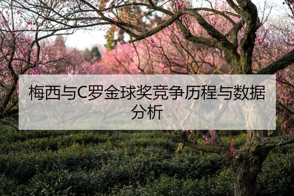 梅西与C罗金球奖竞争历程与数据分析